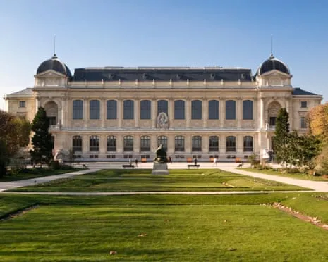 Priceless Golden Samples Snatched in Audacious Raid at French Natural History Institution